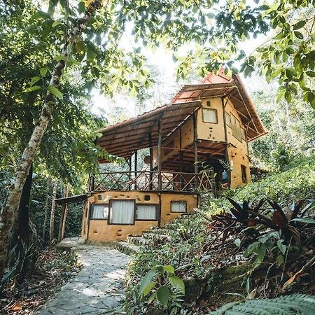 Chirapa Manta Amazon Lodge Lamas Extérieur photo