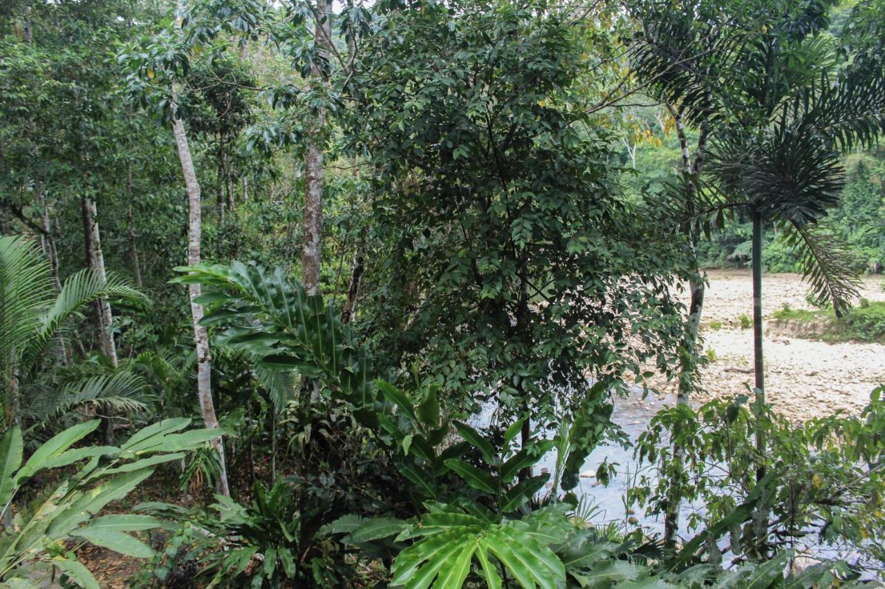 Chirapa Manta Amazon Lodge Lamas Extérieur photo
