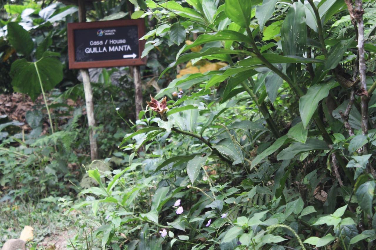 Chirapa Manta Amazon Lodge Lamas Extérieur photo